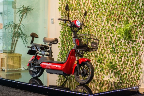 Motocicleta patinete scooter elétrica aima xiao guo dong moto (motor bosch) 500w bicicleta elétrica novo scooter elétrica moto - Image 2