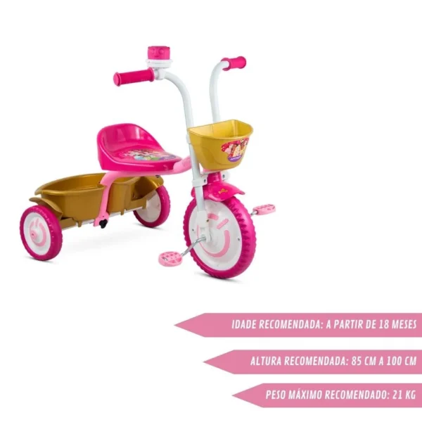 Triciclo Infantil Nathor Princesas Rosa em Alumínio - Image 2